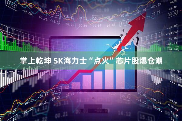 掌上乾坤 SK海力士“点火”芯片股爆仓潮